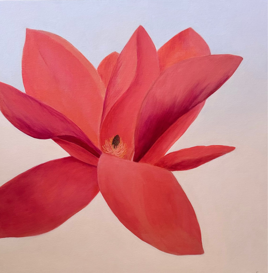 Bloom