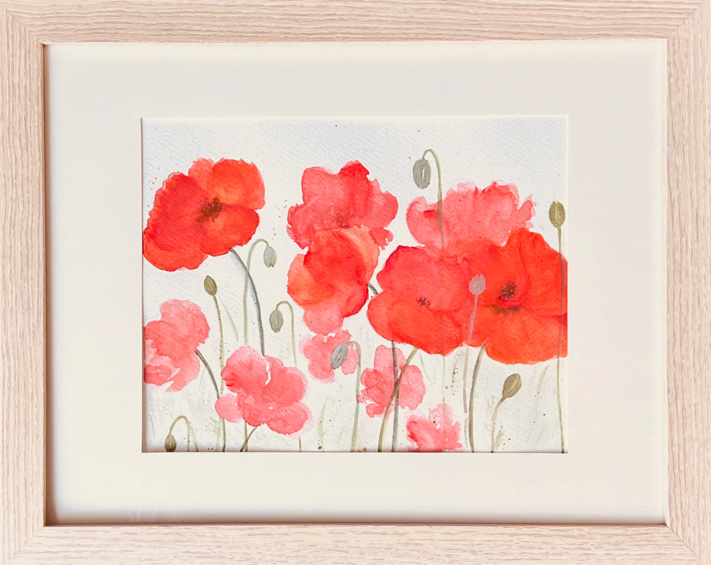 Red poppies