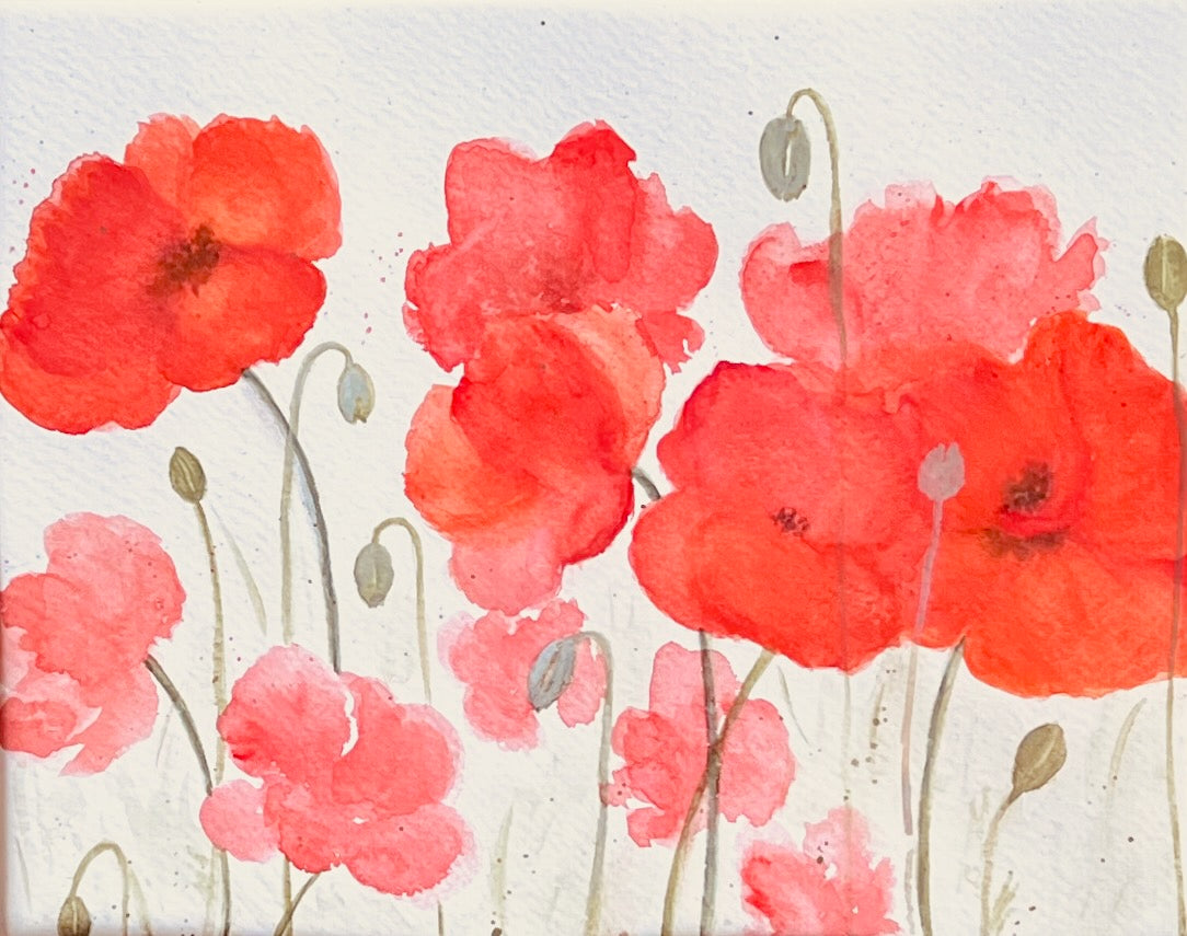 Red poppies