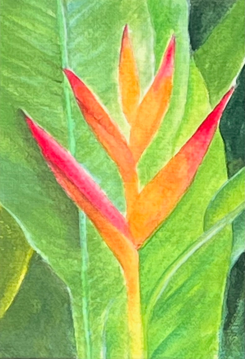 The Heliconia