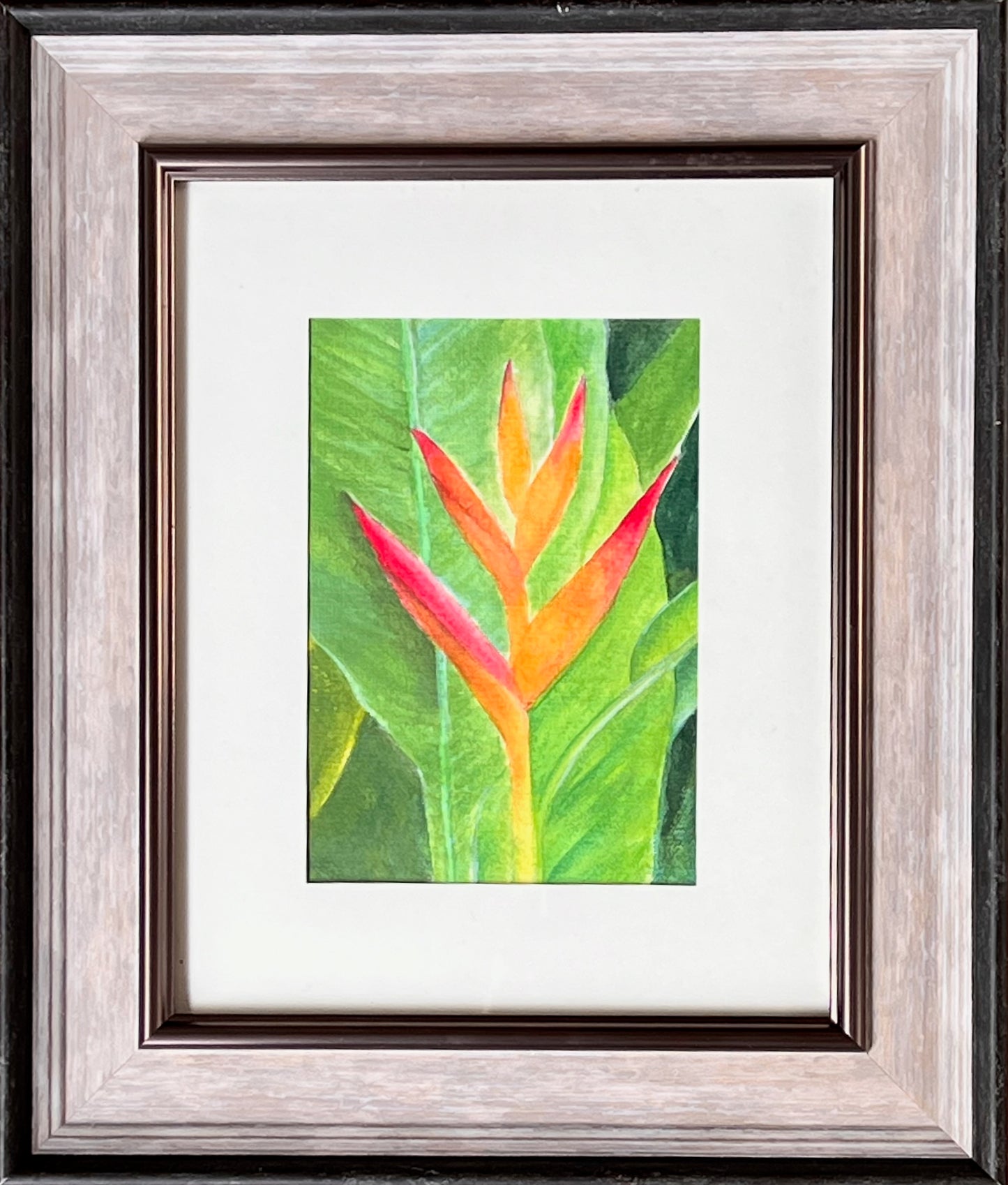 The Heliconia