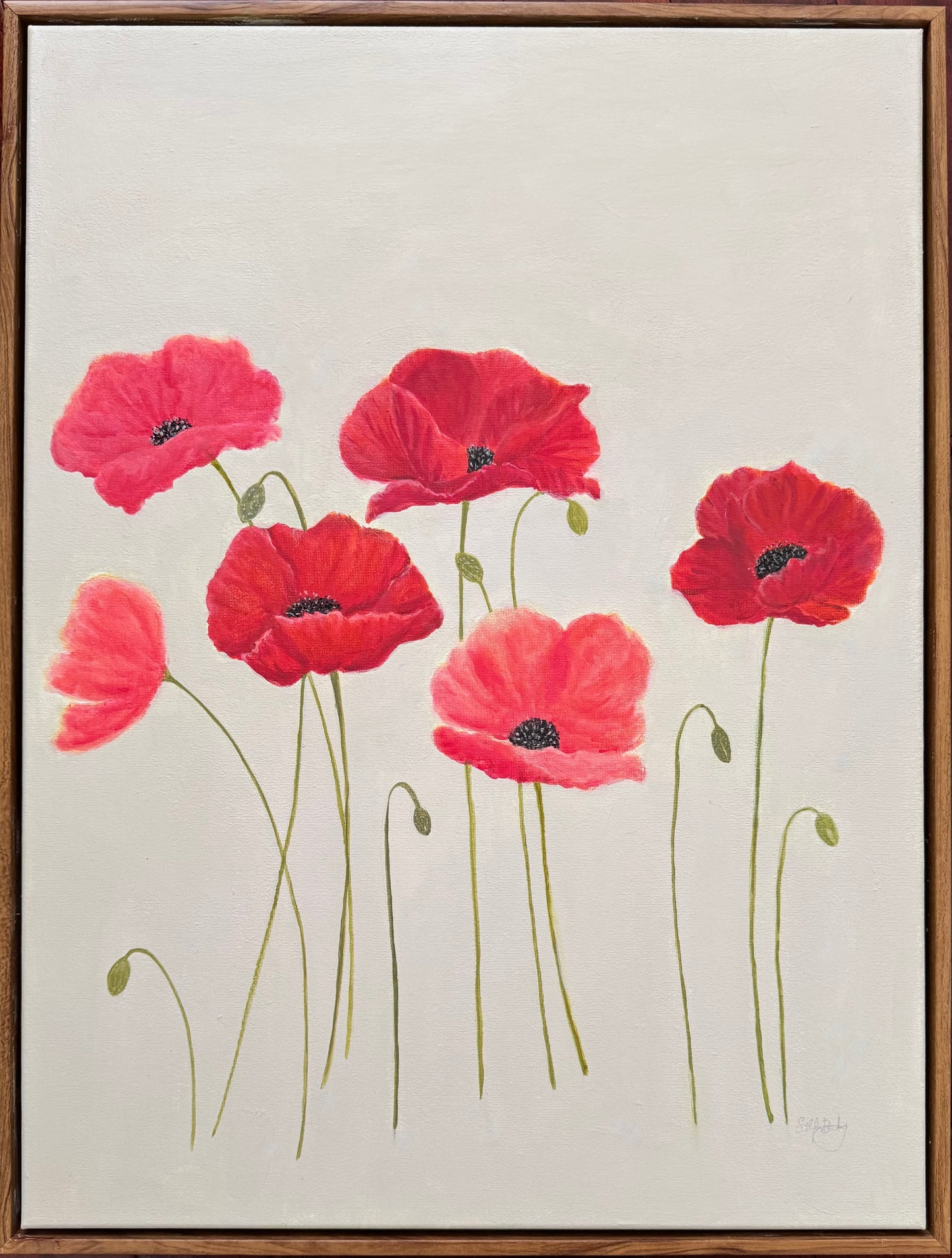 Poppies