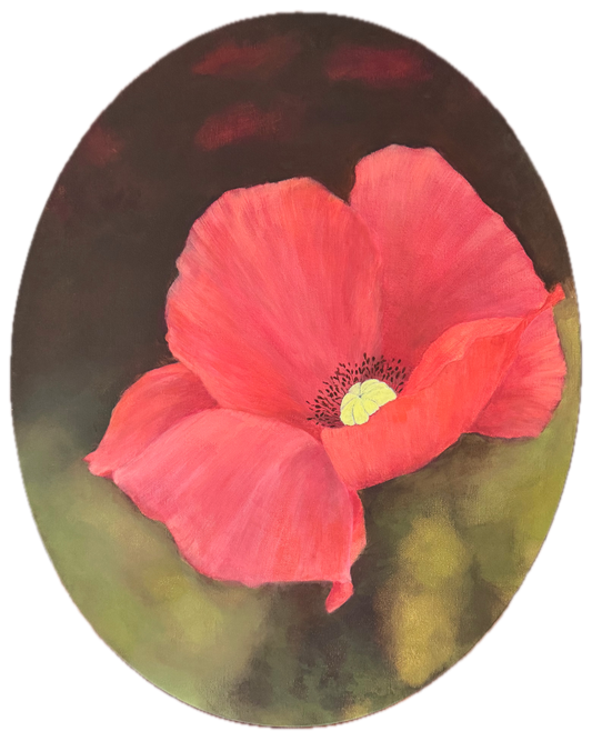 Red Poppy